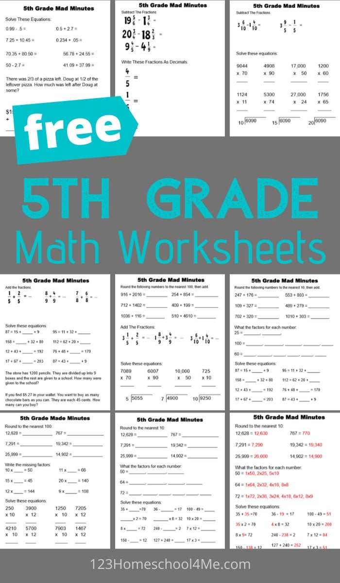 the math worksheet site