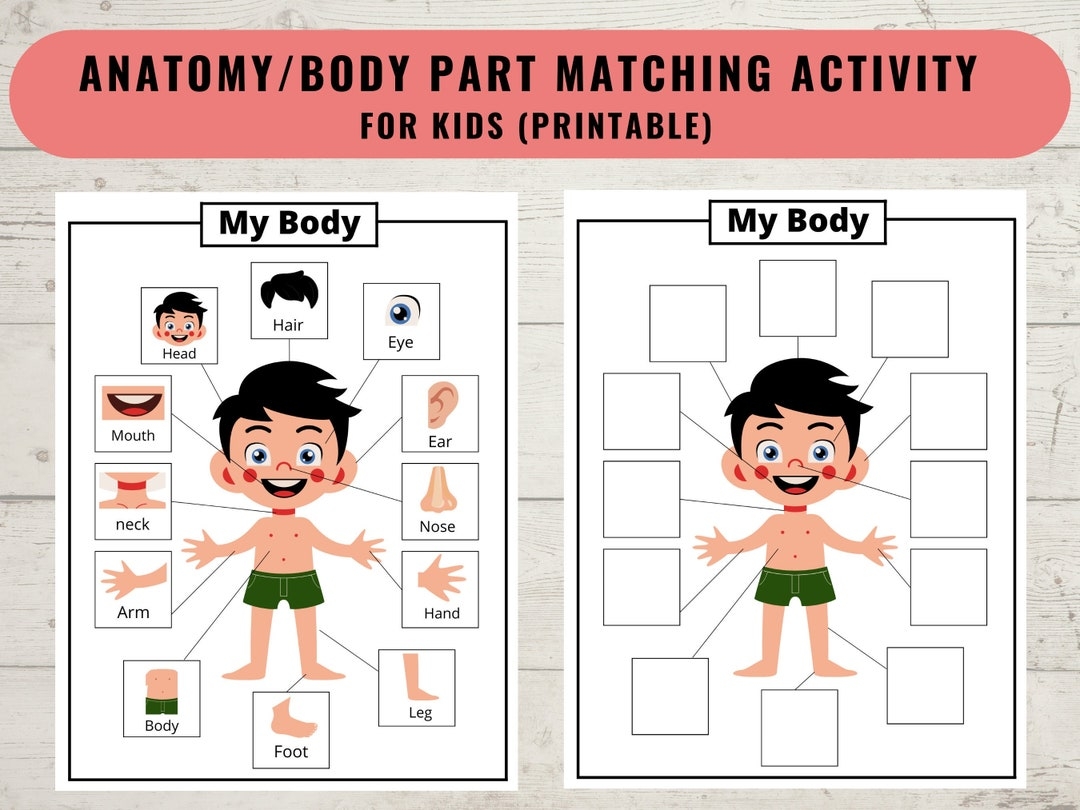 preschool printable worksheet about the body parts