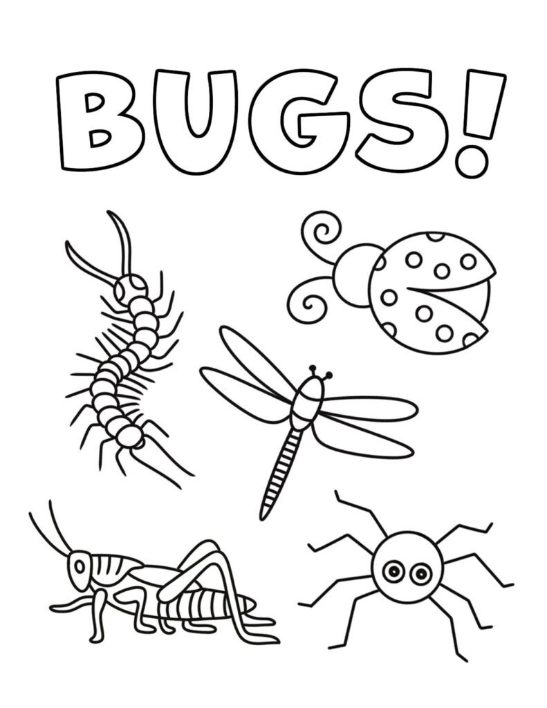 Free And Fun Bug Activities For Preschool The Hollydog Blog