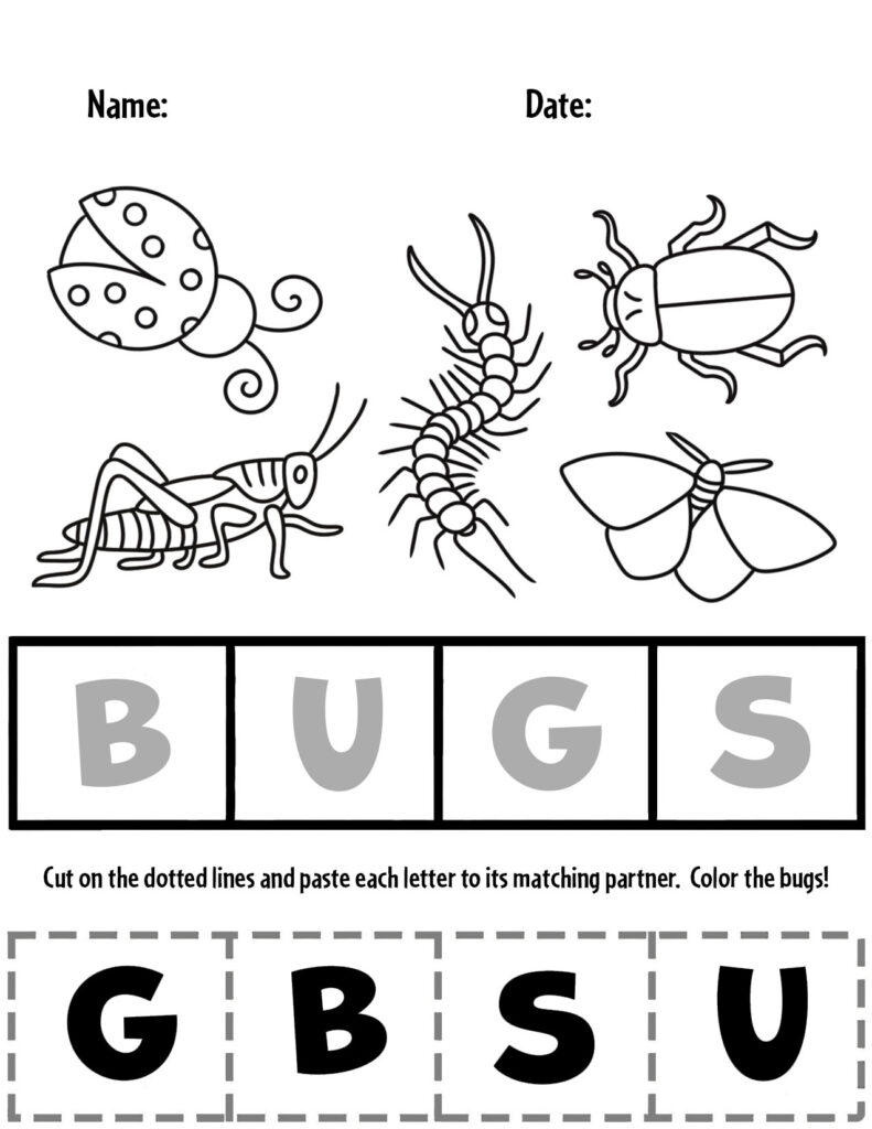 Free Printable Preschool Bug Worksheets