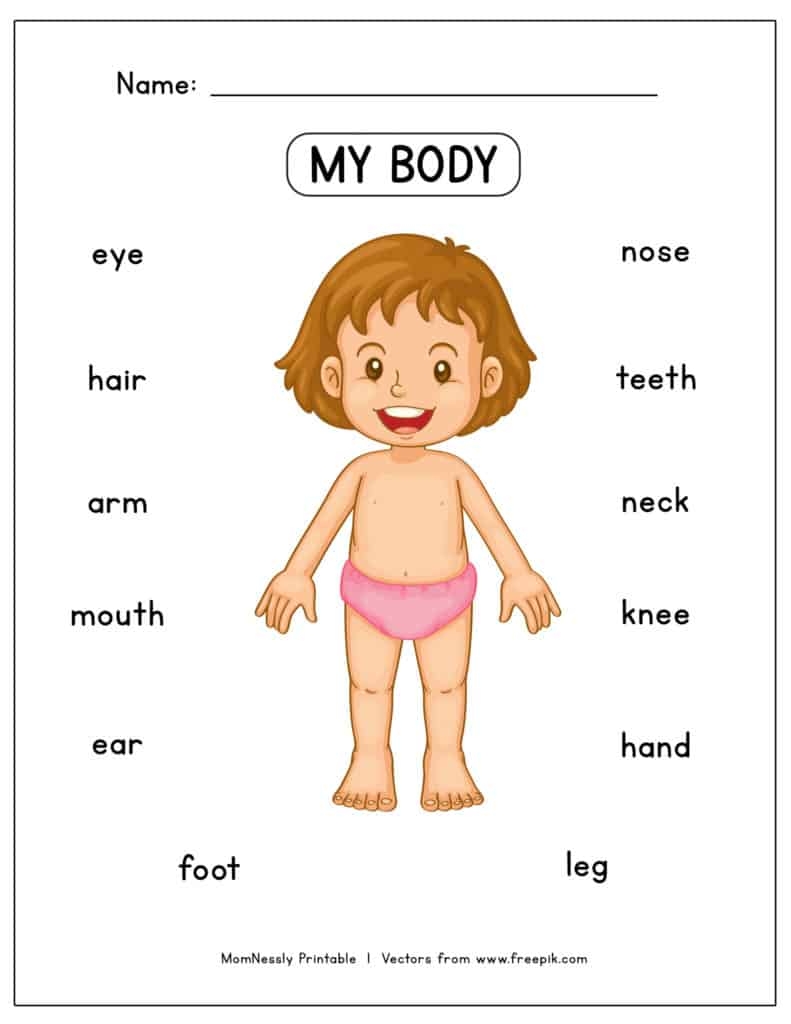Body Parts Printable Worksheets For Preschoolers