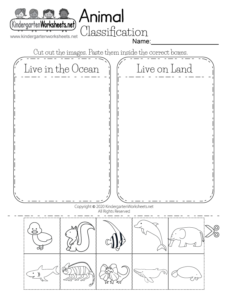 Free Printable Animal Classification Worksheet Free Printable Animal Classification Worksheet