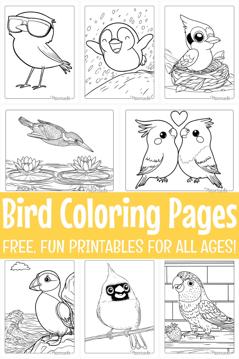 Free Printable Bird Coloring Pages For Kids Adults