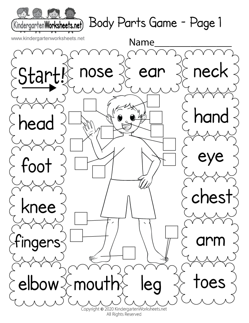 Free Printable Body Parts Worksheets For Preschool