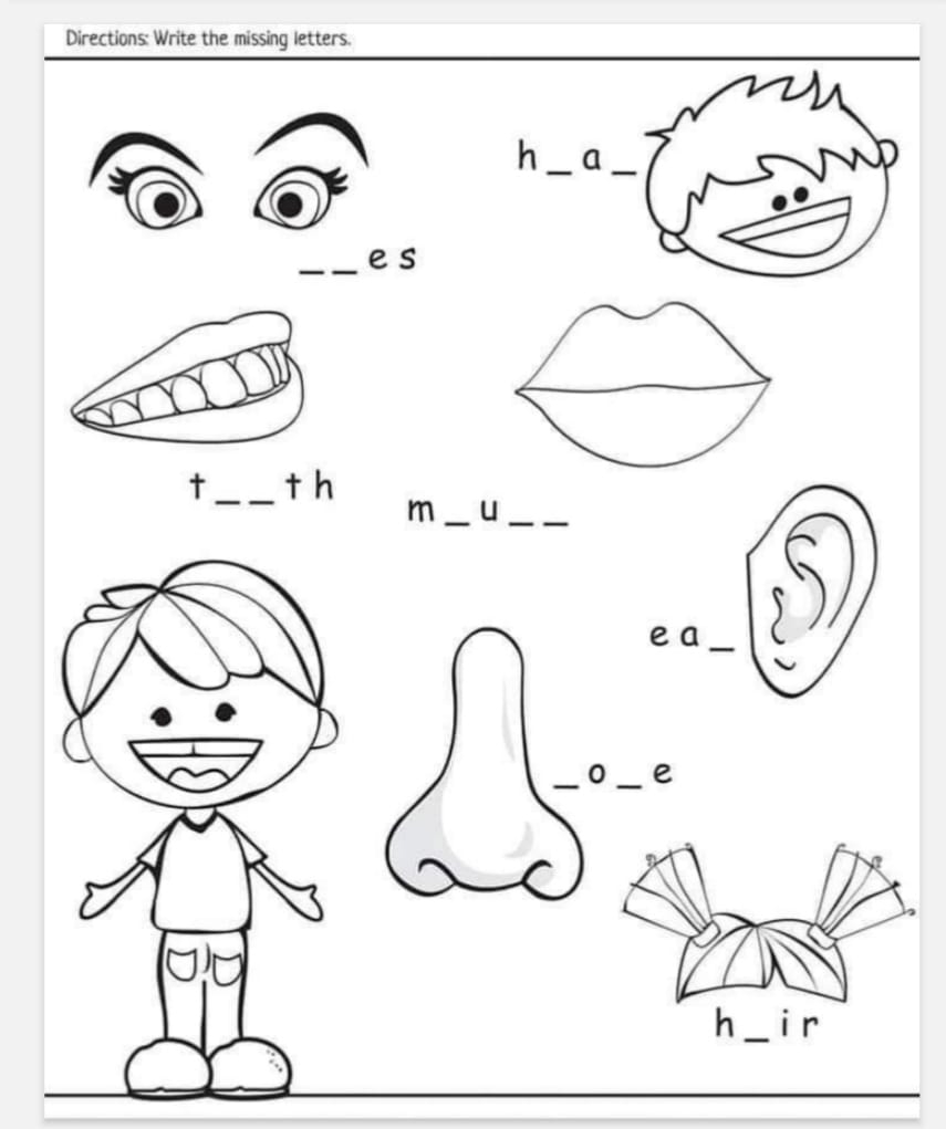 printable body part worksheet for preschool