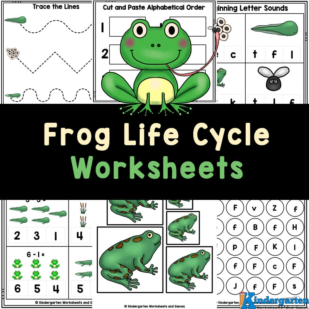  FREE Printable Frog Life Cycle Worksheets