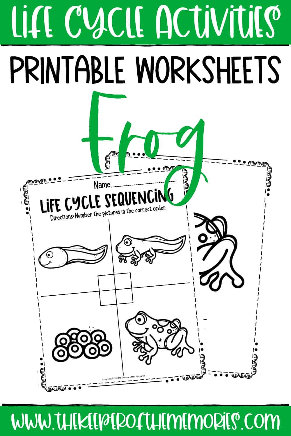 free printable worksheets frog life cycle preschool