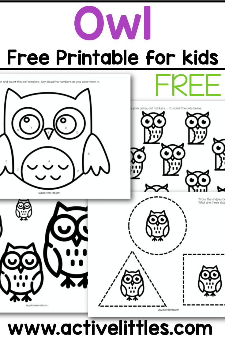 Free Printable Owl Worksheets For Preschoolers