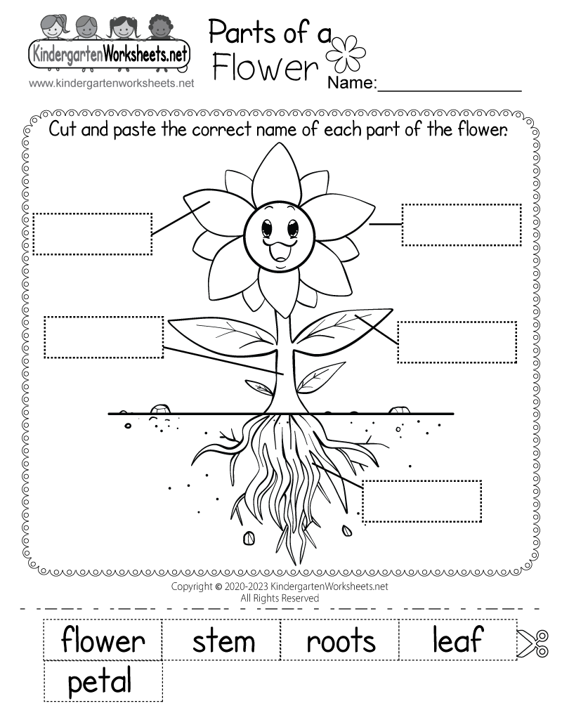 Flower Worksheets For Preschool Printable