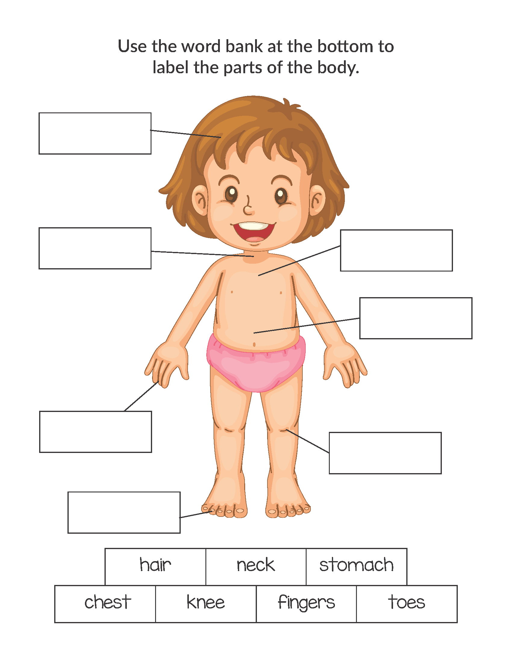 Human Body Worksheet Preschool Printable