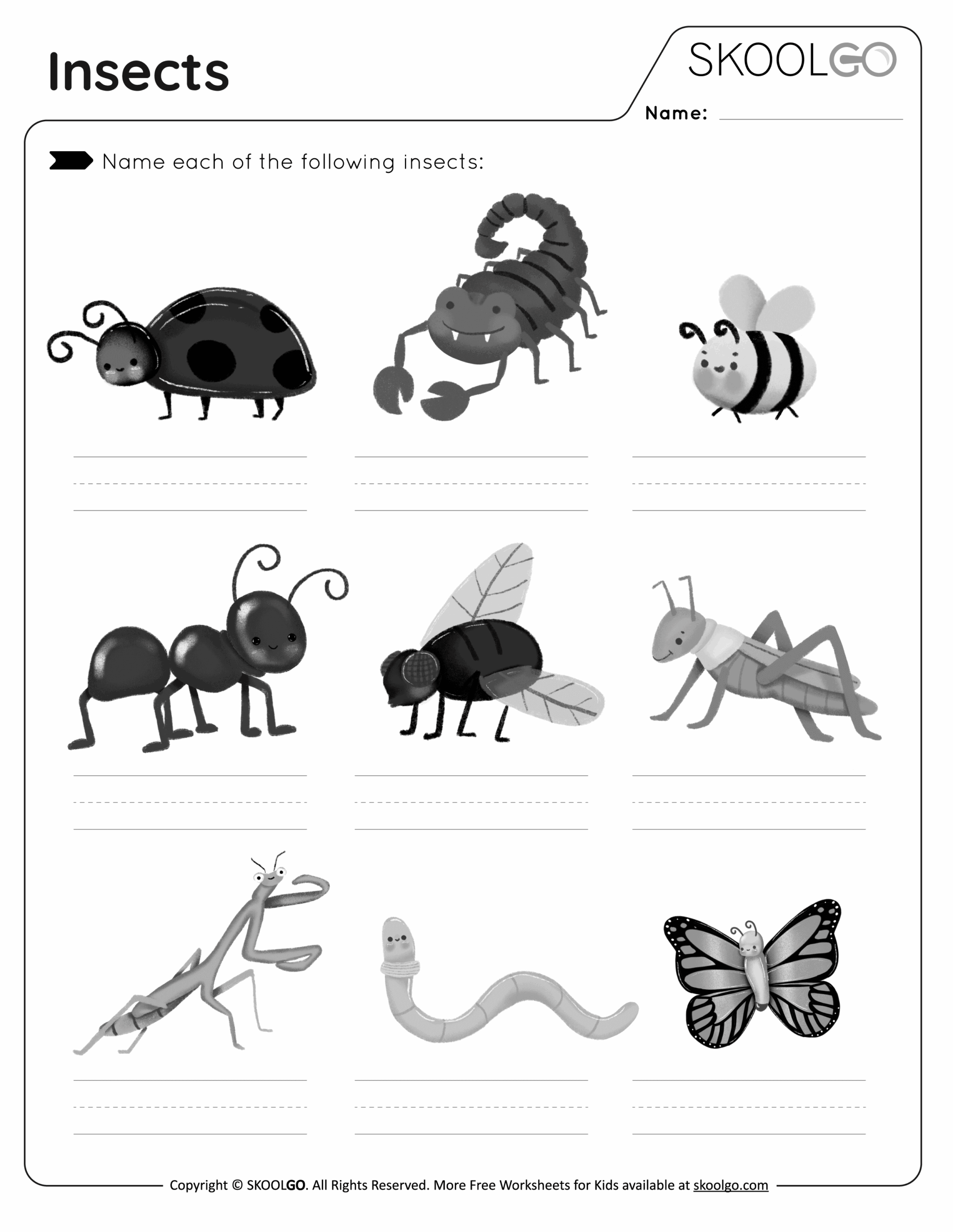 Insects Free Worksheet SKOOLGO