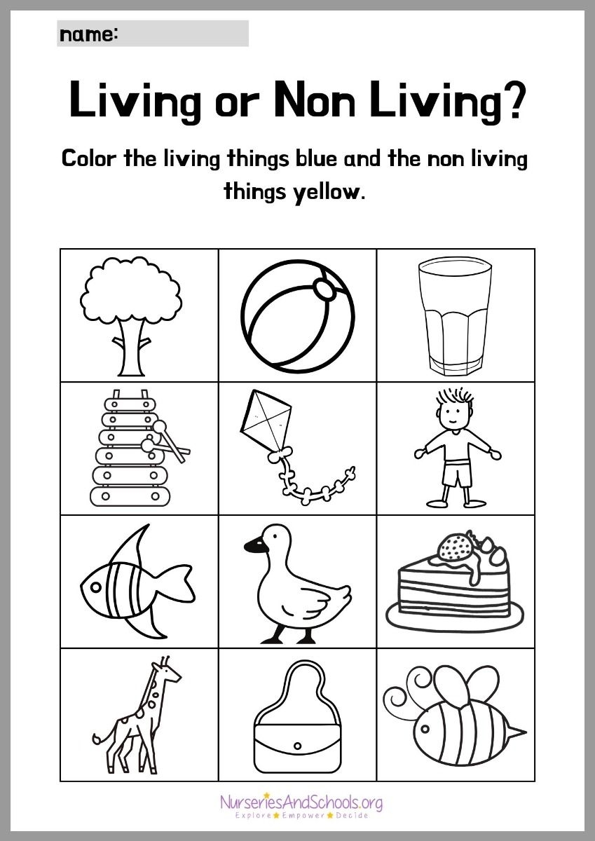 Living And Non Living Things Coloring Worksheet Living And Non Living Things Coloring Worksheet