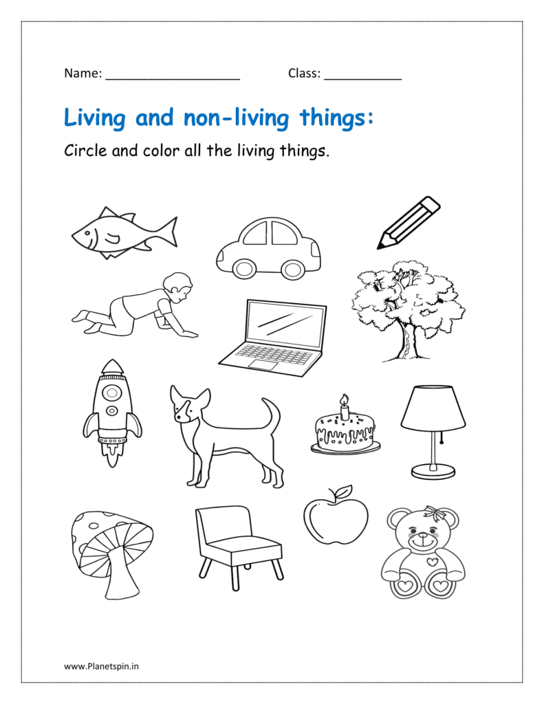 Living And Non Living Things Worksheet Planetspin in Living And Non Living Things Worksheet Planetspin in
