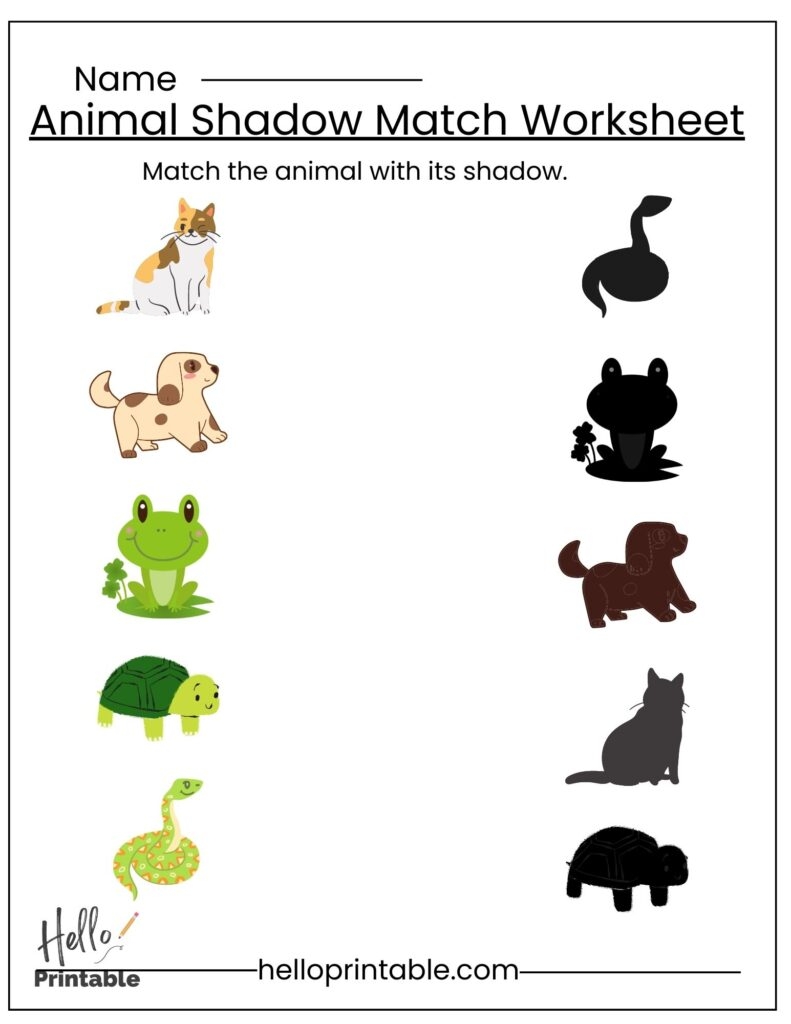 printable worksheets for preschoolers matching
