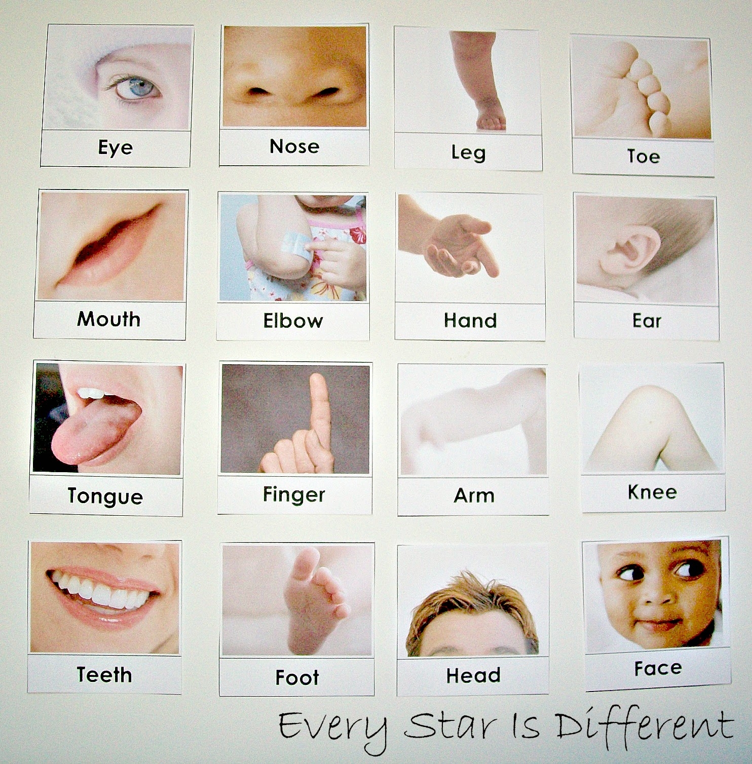 My Body Activities For Tots Preschoolers W Free Printables Every Star Is Different