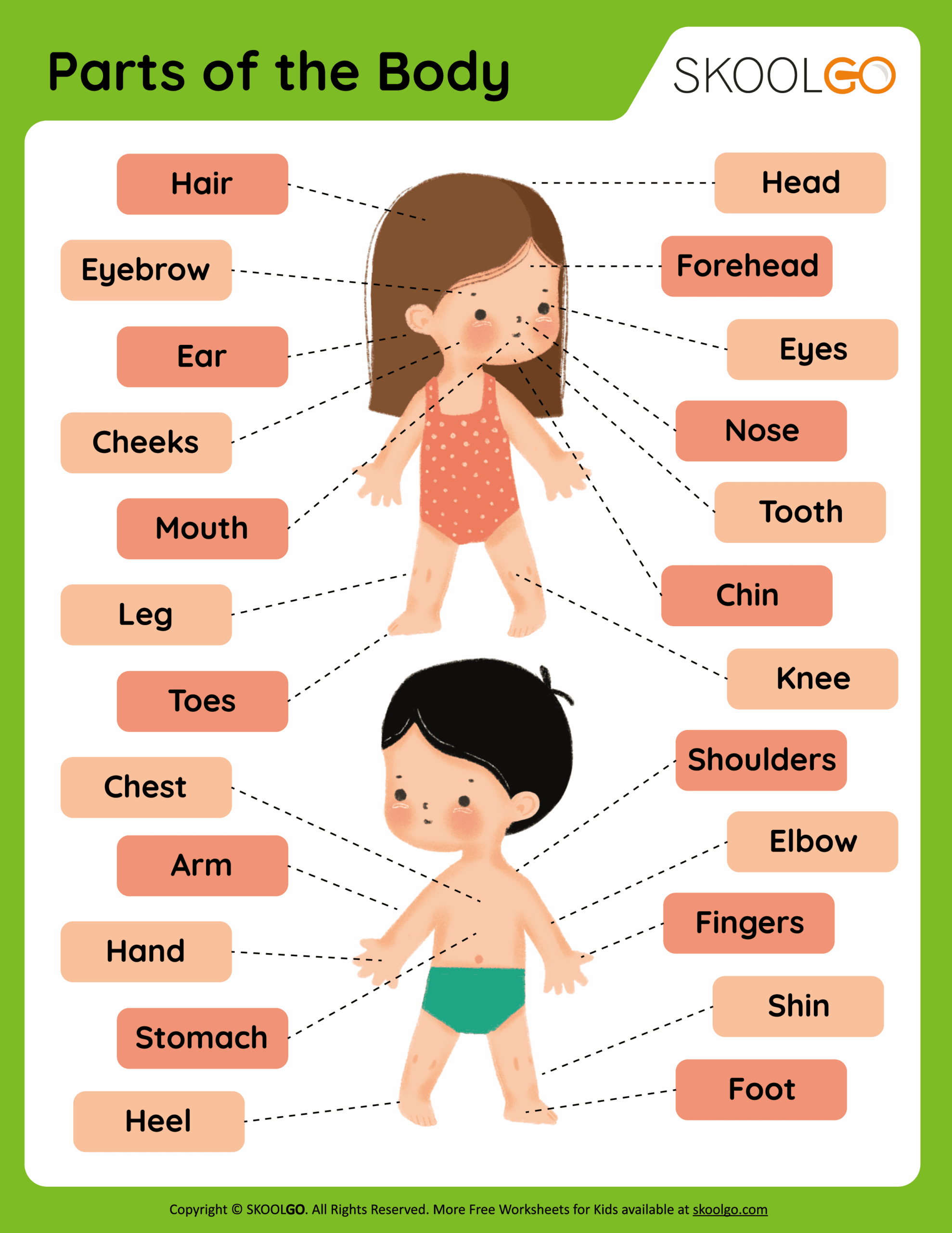 free printable body parts worksheets for preschool