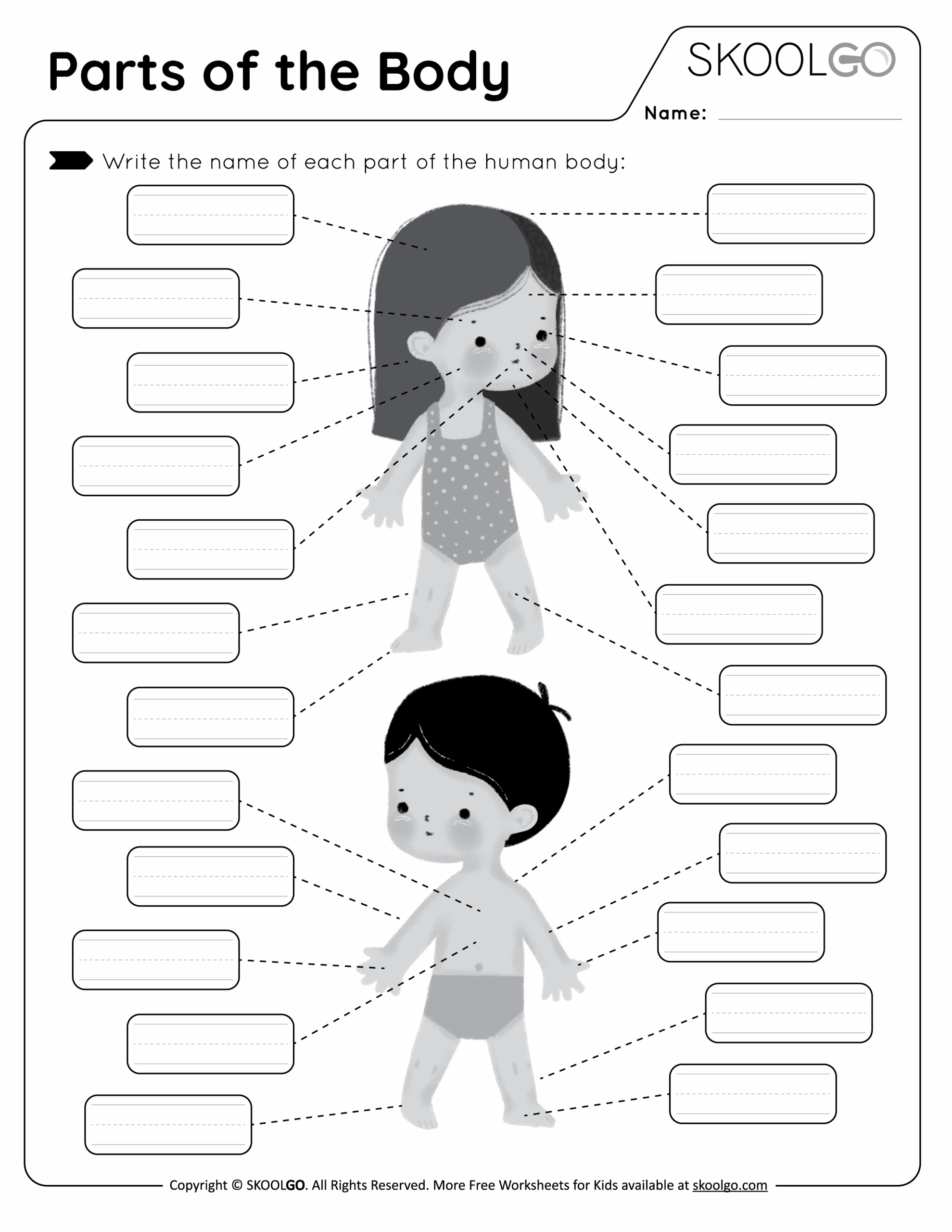 human body worksheet preschool printable