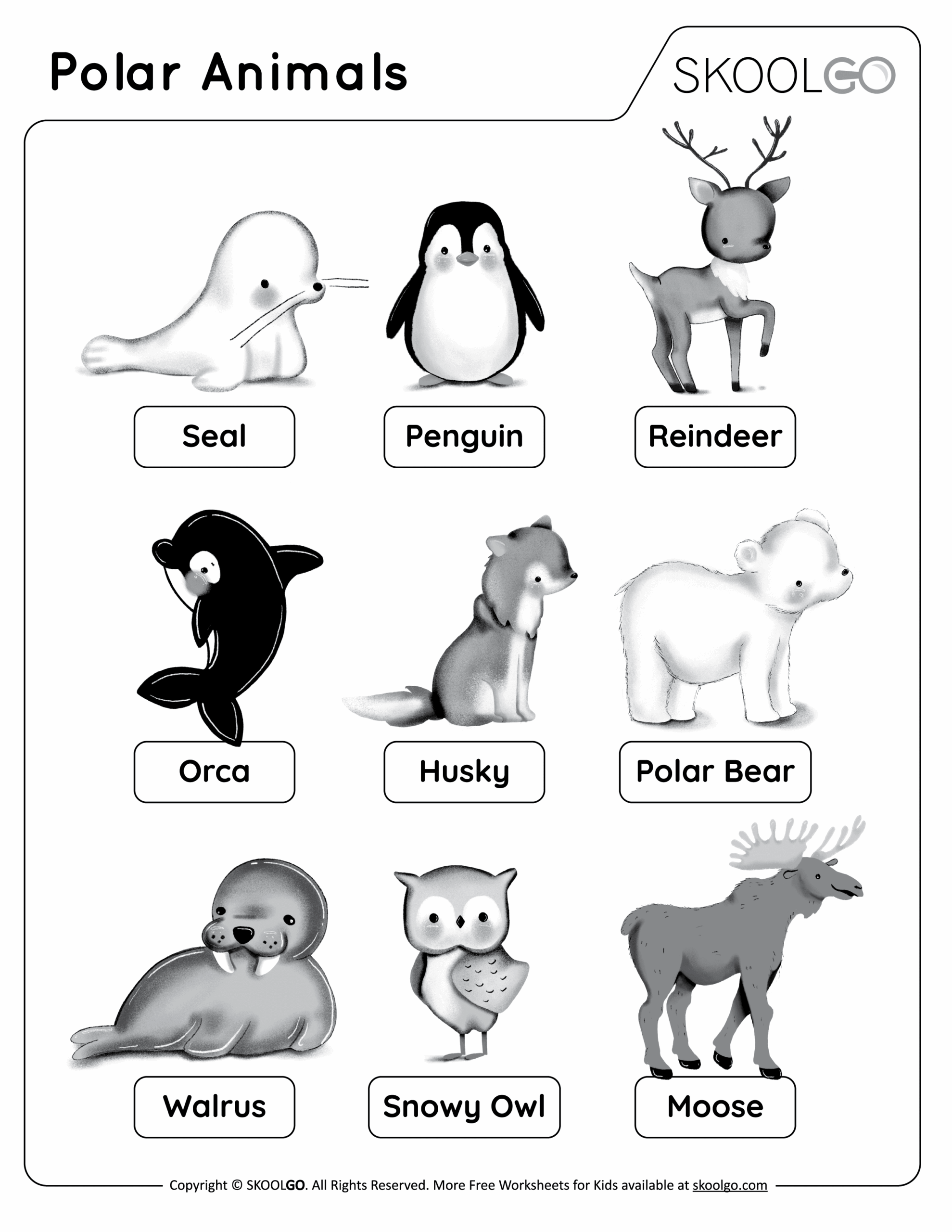 Free Printable Arctic Animals Worksheets For Preschool