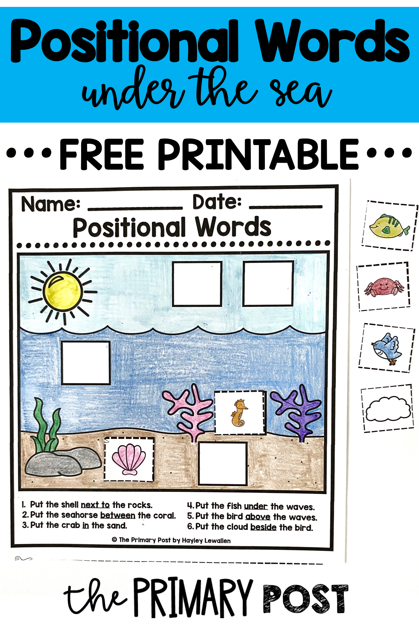 Positional Words FREEBIE The Primary Post