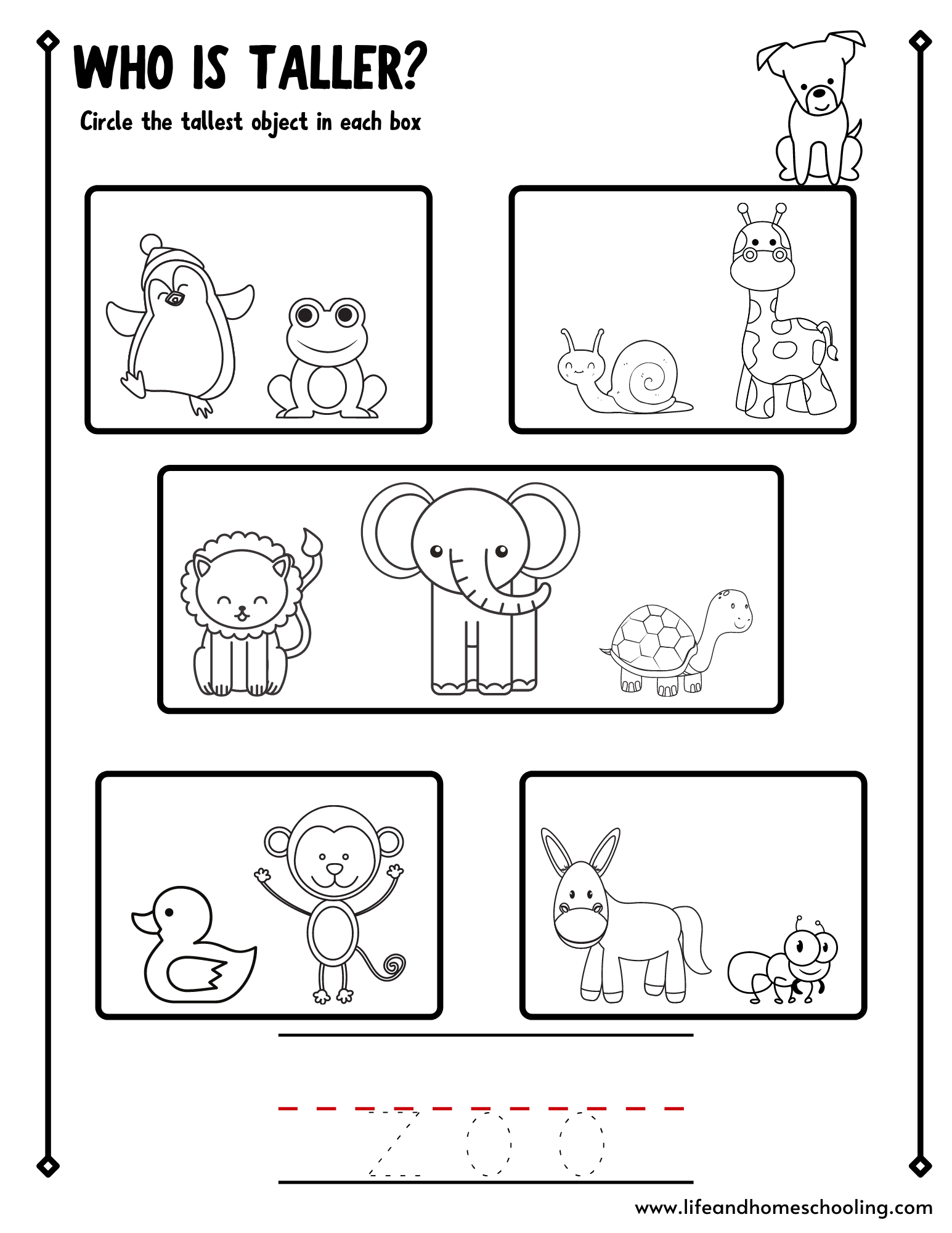 Preschool Math Tall Short Made By Teachers