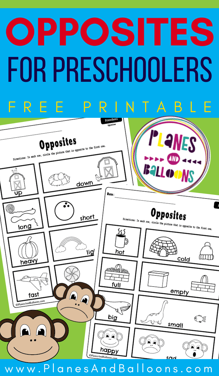 Preschool Opposites Printable Worksheets FREE Pdf Download