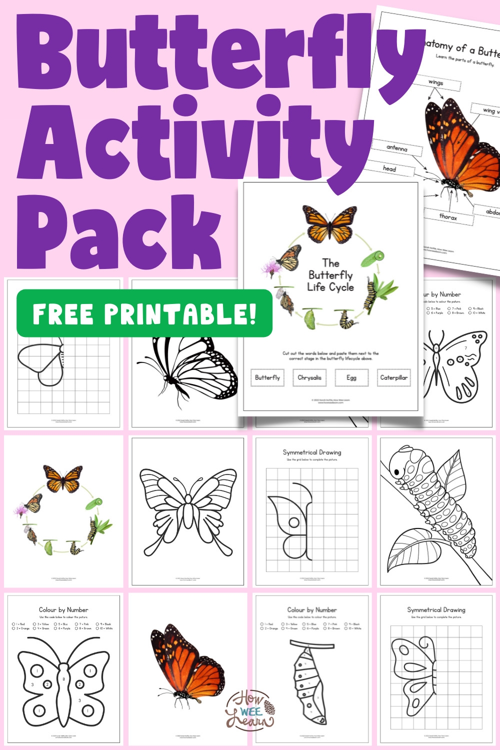 free preschool butterfly worksheet printable