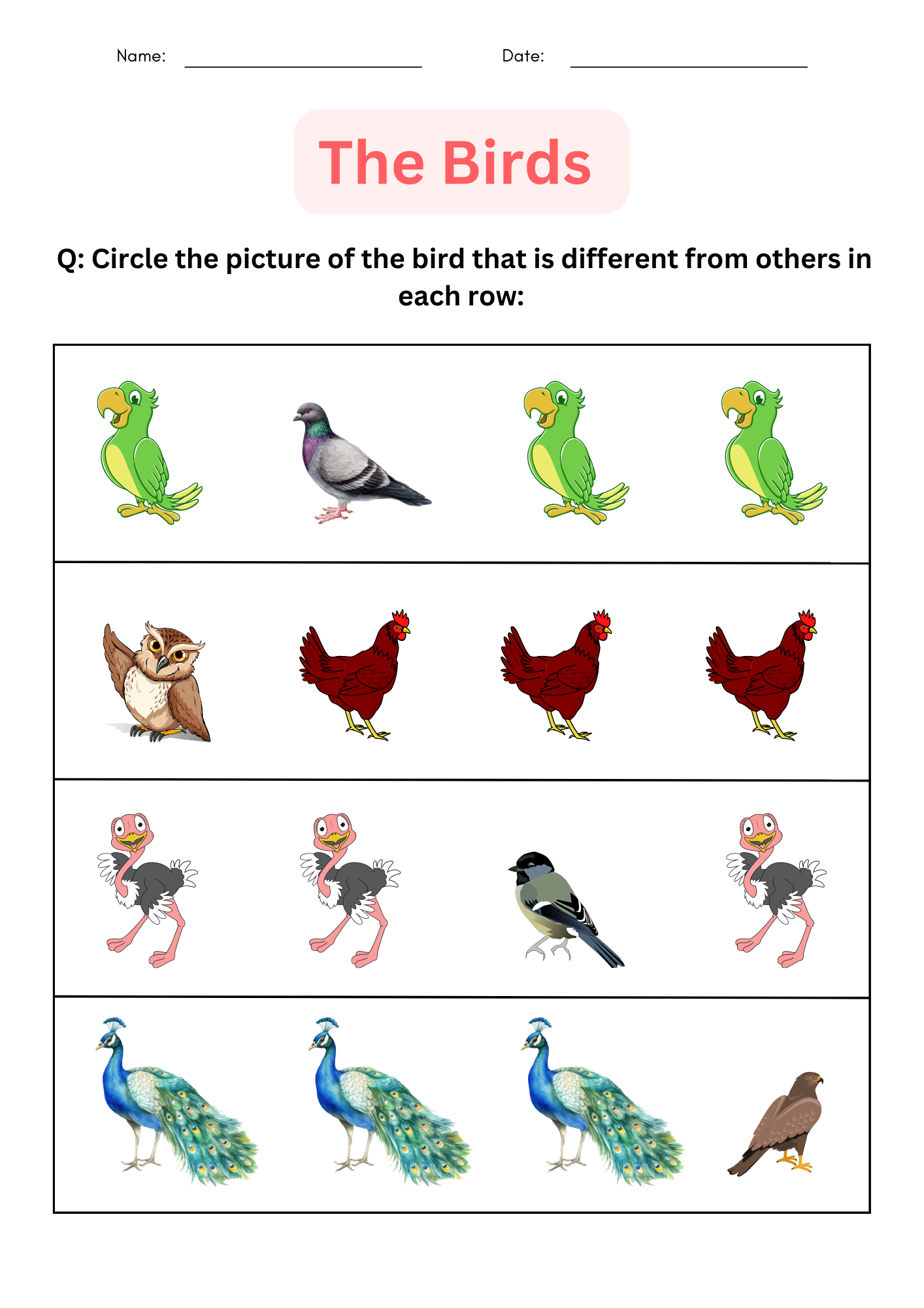 Printable Matching And Identify Birds Worksheet For Kindergarten Made By Teachers
