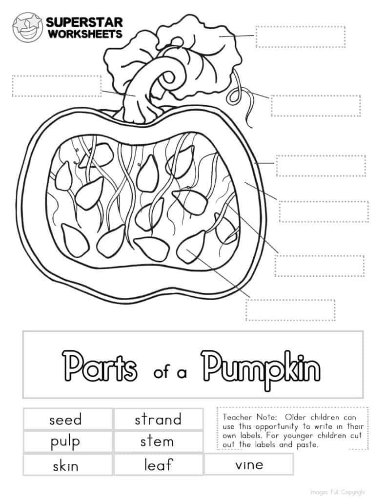 free preschool printable pumpkin worksheets free preschool printable pumpkin worksheets