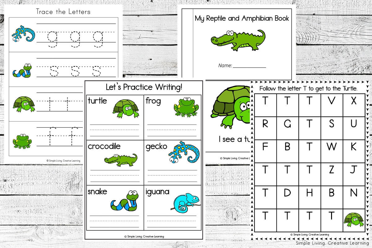Printable Reptile Worksheets For Preschoolers