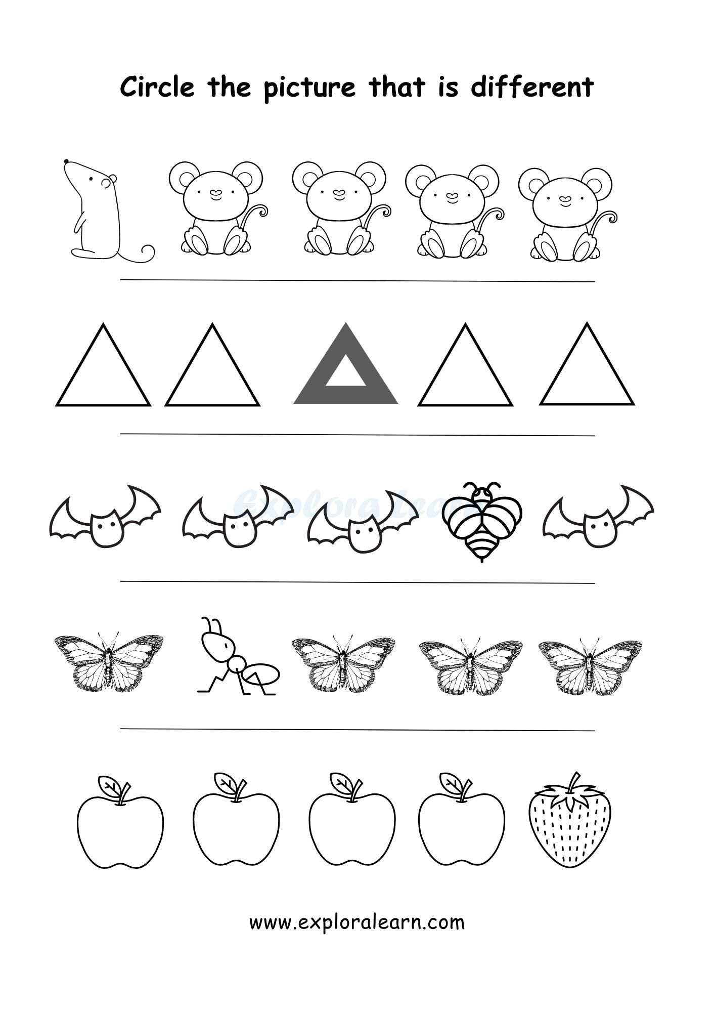 Same And Different Comparison Worksheets For Preschool And Kindergarten 2 To 6 Years Kids
