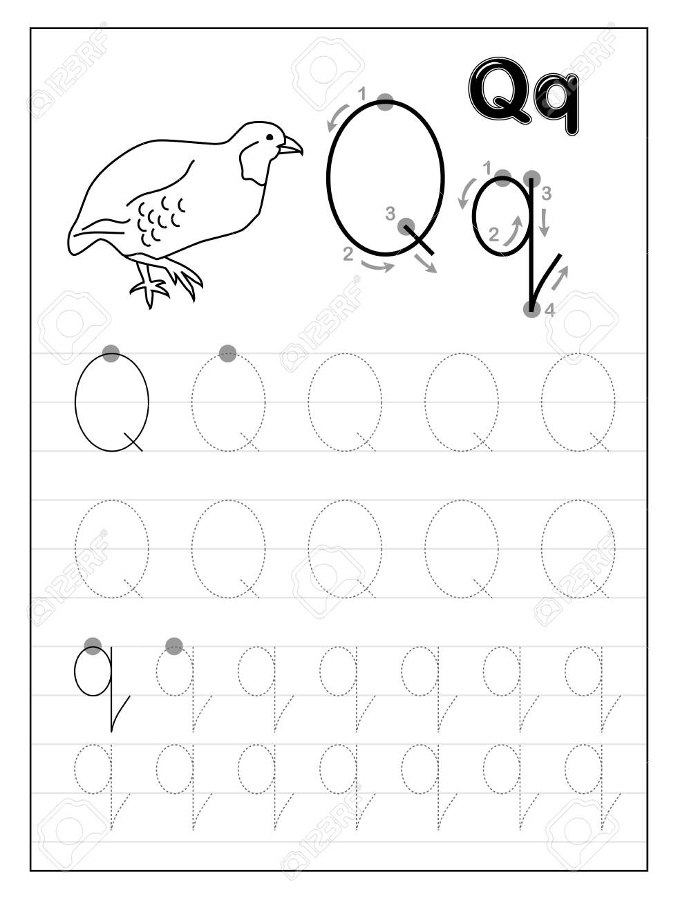 Tracing Alphabet Letter Q Black And White Educational Pages On Line For Kids Printable Worksheet For Children Textbook Developing Skills Of Writing Vector For Baby Book Back To School Royalty Free SVG 